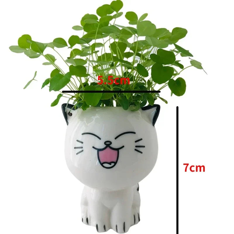 Mini Flower Pot in Cat-Shaped Ceramic