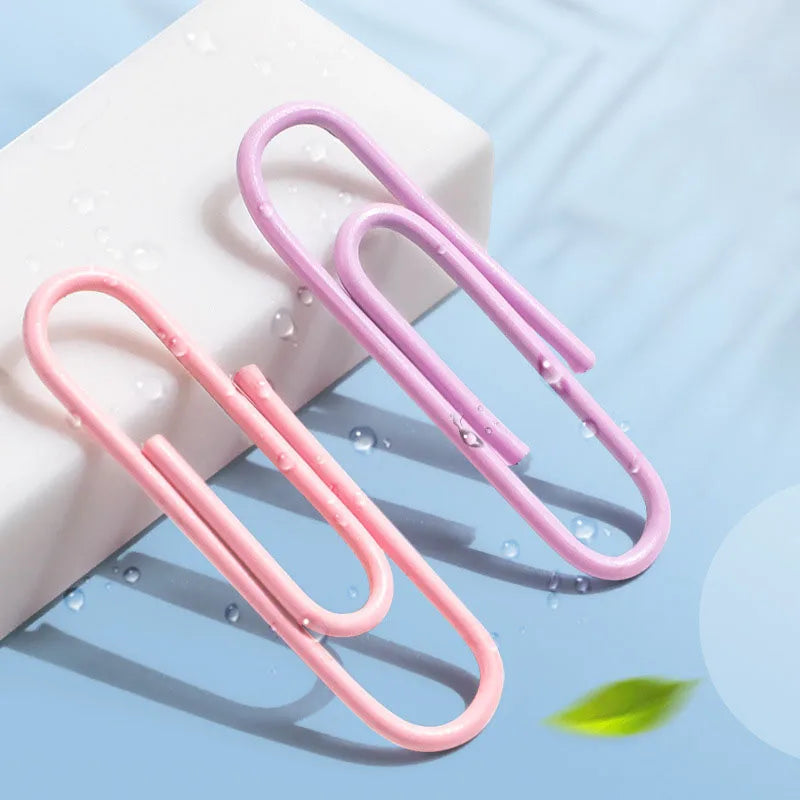Stainless steel paperclips for documents