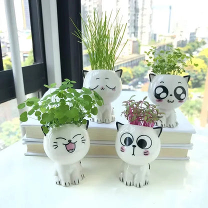 Mini Doniczka Ceramiczna w Kształcie Kota 